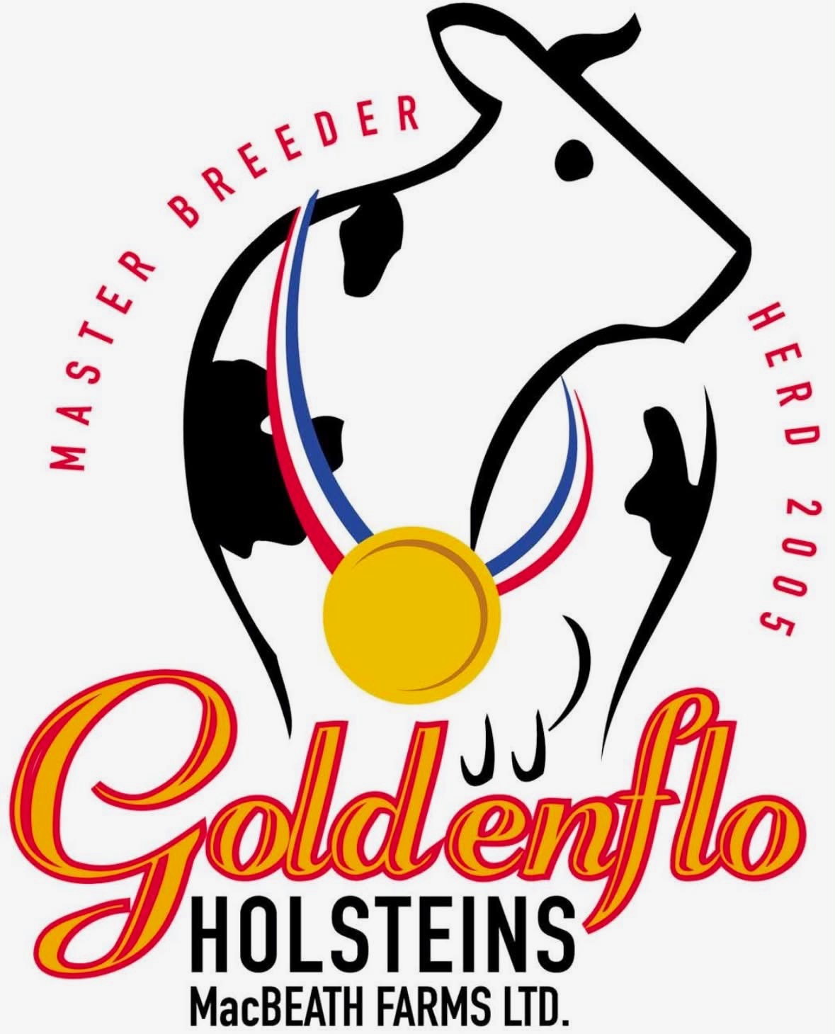 Golden Flo Holsteins